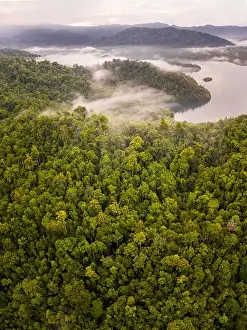 Limestone Islands Prints: A lush rainforest covers a remote tropical island in Raja Ampat