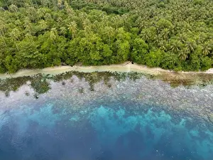 A lush, tropical island is fringed by a coral reef in the Solomon Islands. This beautiful country is home to spectacular marine biodiversity