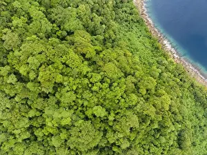 A lush, tropical island is fringed by a coral reef in the Solomon Islands. This beautiful country is home to spectacular marine biodiversity