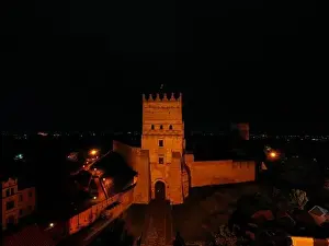 Volyn Prints: Lutsk, Ukraine - June 4, 2021: Aerial view on Lubart's castle in Lutsk