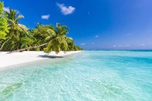 Images Dated 11th January 2017: Luxury summer vacation and holiday concept background. Summer beach nature