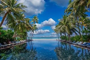Images Dated 26th October 2019: Luxury swimming pool in the tropical hotel or resort. Palm trees