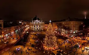 Lviv, Ukraine - December 19, 2020: Christmas tree near Opera House in Lviv, Ukraine. View from drone
