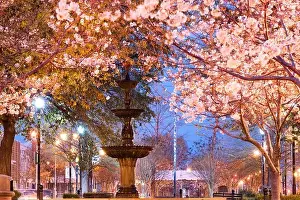 Macon Prints: Macon, Georgia, USA downtown square in spring season with the fountain