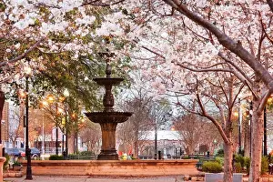 Macon, Georgia, USA downtown square in spring season with the fountain