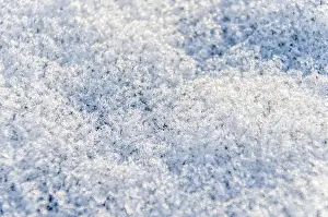 Crystals Prints: Macro closeup of heavy layer of snow ice crystals showing detail and texture on ground in winter