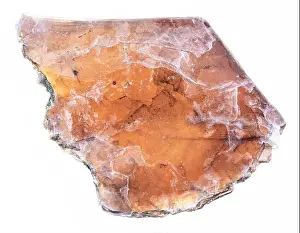 Pebble Prints: macro photography of natural mineral from geological collection - raw laminas of brown mica on white background