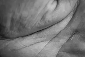 Macro view in black and white of a palm of a human male hand with lines and skin texture