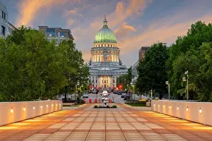 Tree Prints: Madison, Wisconsin, USA state capitol building at dusk