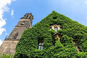 Overgrown Prints: Magdeburg gothic medieval cathedral Dom church slate tile roof