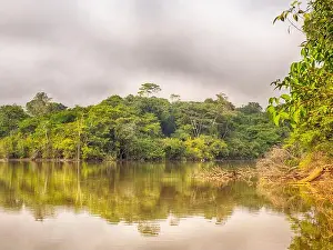 Splendid Prints: Magic Amazonia. View of the green jungle on the bank of lagoon in the Amazon rainforest
