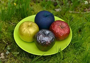 Destiny Prints: Magic poisonous or painted with acrylic apples on the plate in the garden