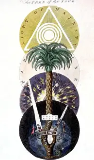 Paranormal Prints: Magic Symbols Tree of the Soul The soul tree according of the Rosicrucian Jacob Boehme Hand coloured print based