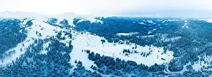 Forest View Prints: Magical panorama of a beautiful hill in the mountains covered by snow on the ski slope on a sunny day with a clear blue