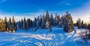 High Mountain Prints: Magical winter panorama of beautiful snowy slopes