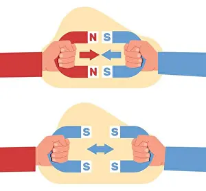 Magnetic Prints: Magnetic force. Opposite poles of magnet attract and equal repel