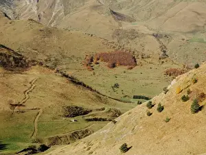 Luca Prestia Prints: Magnificent autumn panorama from Colle di Tenda near Limone Piemonte, Maritime Alps
