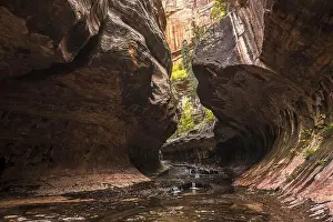 Natural Preserve Prints: Magnificent Subway gorge landmark in the Zion National Park in Utah, USA, North America