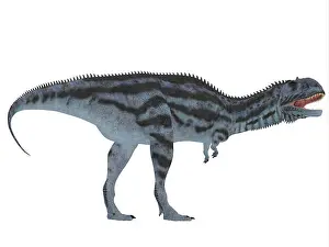 Madagascar Prints: Majungasaurus was a carnivorous theropod dinosaur that lived in Madagascar in the Cretaceous Period
