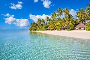 Images Dated 1st November 2019: Maldives island beach. Tropical landscape of summer scenery, white sand with palm trees