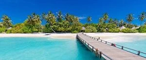 Images Dated 26th October 2019: Maldives island beach. Tropical landscape of summer scenery, white sand with palm trees