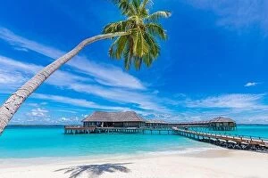 Images Dated 26th October 2019: Maldives island beach. Tropical landscape of summer scenery, white sand with palm trees