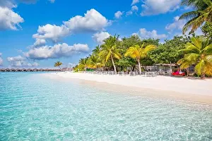 Maldives island beach. Tropical landscape of summer scenery, white sand with palm trees. Luxury travel vacation destination. Exotic beach landscape