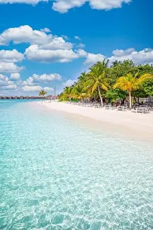 Maldives island beach. Tropical landscape of summer scenery, white sand with palm trees. Luxury travel vacation destination. Exotic beach landscape