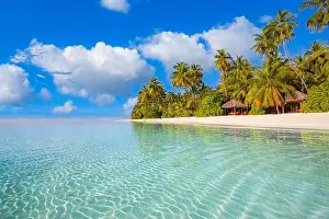 Maldives island beach. Tropical landscape of summer scenery, white sand with palm trees. Luxury travel vacation destination. Exotic beach landscape