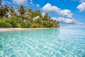 Maldives island beach. Tropical landscape of summer scenery, white sand with palm trees. Luxury travel vacation destination. Exotic beach landscape