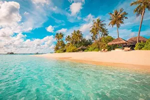 Maldives island beach. Tropical landscape of summer scenery, white sand with palm trees. Luxury travel vacation destination. Exotic beach landscape