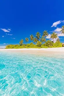 Maldives island beach. Tropical landscape of summer scenery, white sand with palm trees. Luxury travel vacation destination. Exotic beach landscape