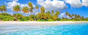 Maldives island beach. Tropical landscape of summer scenery, white sand with palm trees. Luxury travel vacation destination. Exotic beach landscape