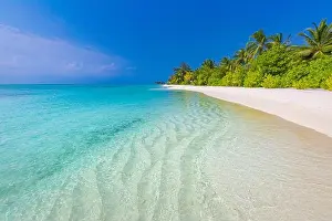 Maldives island beach. Tropical landscape of summer scenery, white sand with palm trees. Luxury travel vacation destination. Exotic beach landscape