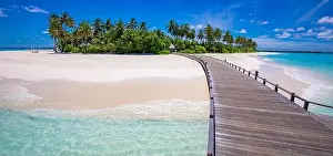 Maldives island beach. Tropical landscape of summer scenery, white sand with palm trees. Luxury travel vacation destination. Exotic beach landscape