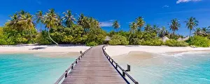 Maldives island beach. Tropical landscape of summer scenery, white sand with palm trees. Luxury travel vacation destination. Amazing beach landscape