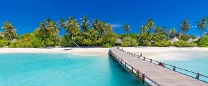 Maldives island beach. Tropical landscape of summer scenery, white sand with palm trees. Luxury travel vacation destination. Amazing beach landscape