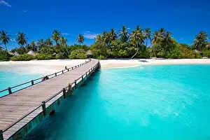 Maldives island beach. Tropical landscape of summer scenery, white sand with palm trees. Luxury travel vacation destination. Amazing beach landscape