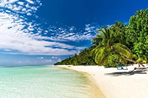 Maldives island beach. Tropical landscape of summer scenery, white sand with palm trees. Luxury travel vacation destination. Exotic beach landscape