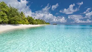 Maldives island landscape, perfect scenery with palm trees, calm blue sea and tranquil exotic nature environment. Amazing vacation and travel banner