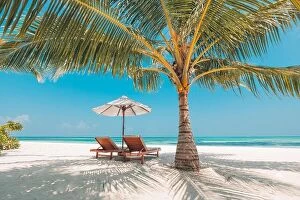 Images Dated 16th January 2017: Maldives paradise beach. Perfect tropical island. Beautiful palm trees and tropical beach