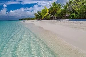 Images Dated 20th December 2015: Maldives paradise beach. Perfect tropical island. Beautiful palm trees tropical beach
