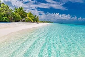 Images Dated 20th December 2015: Maldives paradise beach. Perfect tropical island. Beautiful palm trees tropical beach