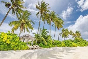 Images Dated 7th August 2019: Maldives paradise tropical beach. Amazing view, blue turquoise lagoon water