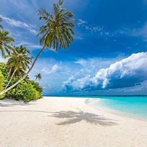 Images Dated 7th August 2019: Maldives paradise tropical beach. Amazing view, blue turquoise lagoon water
