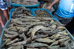 Kolkata Prints: Male india fish market: dried fish in maldives asia
