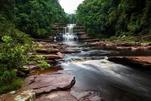 Biome Prints: Maliau Waterfalls, Maliau Basin Conservation Area