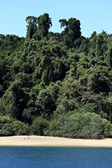 Madagascar Prints: Mamoko island beach bordered by thick lush tropical forest, near Nosy Be, Madagascar