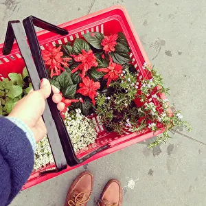 Overhead View Prints: Man carrying a shopping basket with Flowers