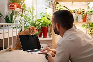 Moments Prints: A man focused on his laptop sits at a desk in a cozy home office